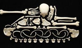 人骨拼图在线观看,揭秘古代谜团，探寻生死奥秘