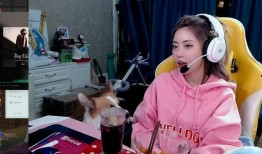 吃瓜一姐直播视频下载免费,免费下载视频背后的秘密