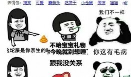 爆料表情包怎么制作视频,轻松制作爆料表情包视频教程