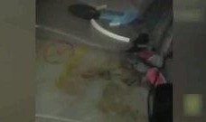 太平间真实爆料视频播放,真实爆料视频背后的惊悚真相