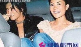 王菲最新爆料模式,新爆料模式背后的故事与灵感